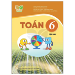 Toán 6, tập 2